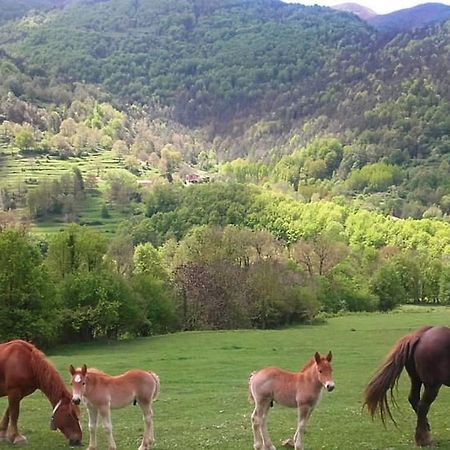 Mas Regort Ξενοδοχείο Vallfogona De Riucorb Εξωτερικό φωτογραφία