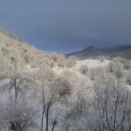 Mas Regort Ξενοδοχείο Vallfogona De Riucorb Εξωτερικό φωτογραφία